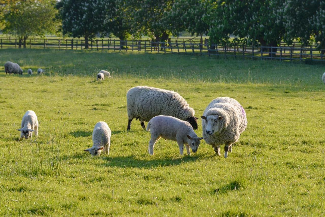 Cambridge Country Cottages Exteriör bild